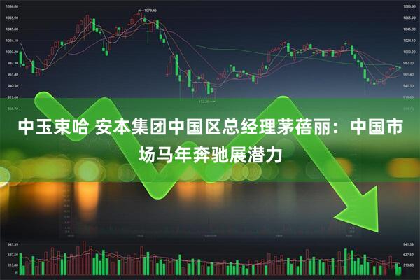 中玉束哈 安本集团中国区总经理茅蓓丽：中国市场马年奔驰展潜力