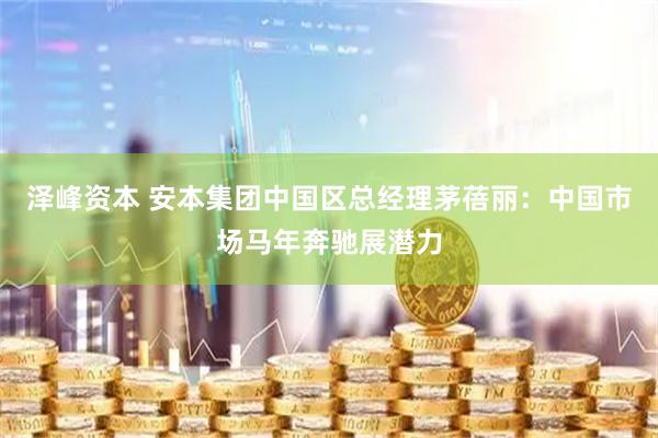 泽峰资本 安本集团中国区总经理茅蓓丽：中国市场马年奔驰展潜力