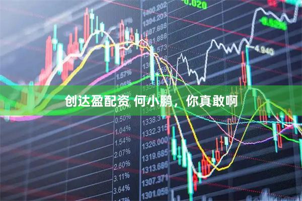 创达盈配资 何小鹏，你真敢啊