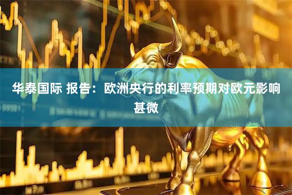华泰国际 报告：欧洲央行的利率预期对欧元影响甚微