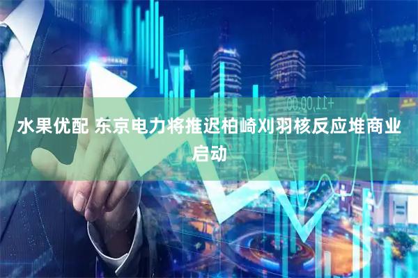 水果优配 东京电力将推迟柏崎刈羽核反应堆商业启动