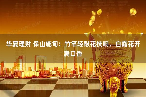 华夏理财 保山施甸：竹竿轻敲花枝响，白露花开满口香