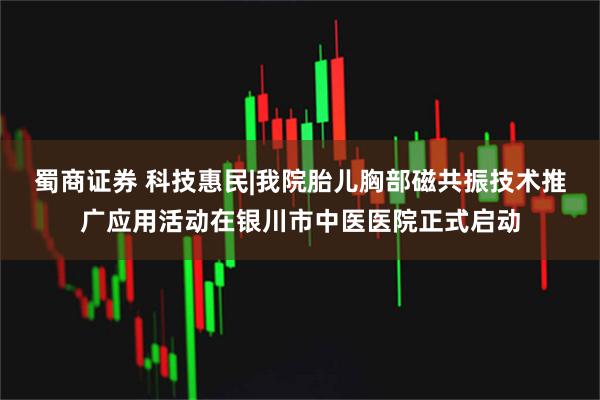 蜀商证券 科技惠民|我院胎儿胸部磁共振技术推广应用活动在银川市中医医院正式启动