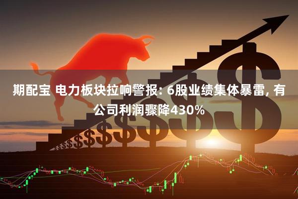 期配宝 电力板块拉响警报: 6股业绩集体暴雷, 有公司利润骤降430%