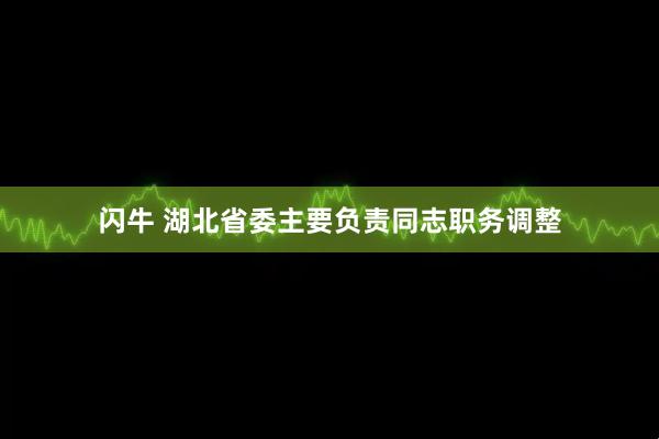 闪牛 湖北省委主要负责同志职务调整