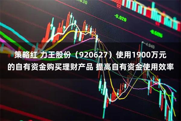 策略红 力王股份（920627）使用1900万元的自有资金购买理财产品 提高自有资金使用效率